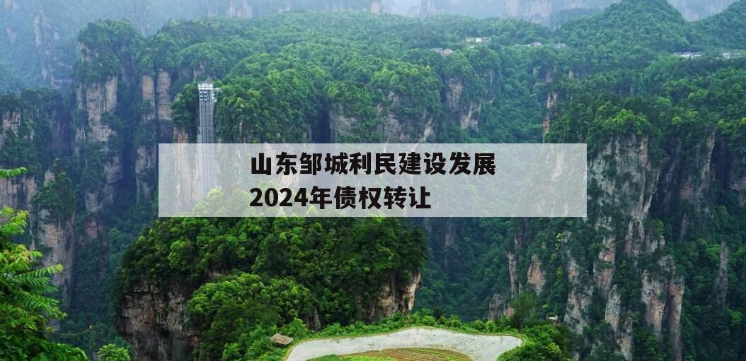 山东邹城利民建设发展2024年债权转让