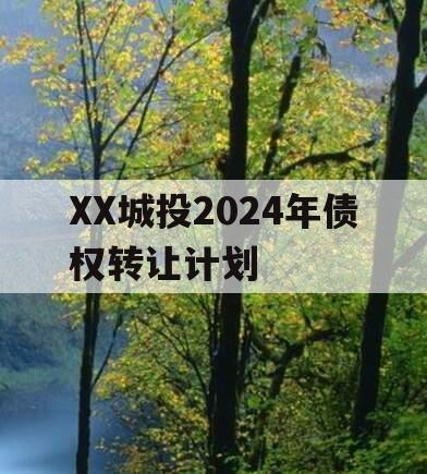 XX城投2024年债权转让计划