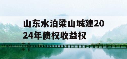 山东水泊梁山城建2024年债权收益权