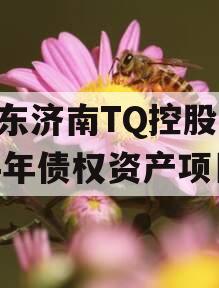 山东济南TQ控股2024年债权资产项目