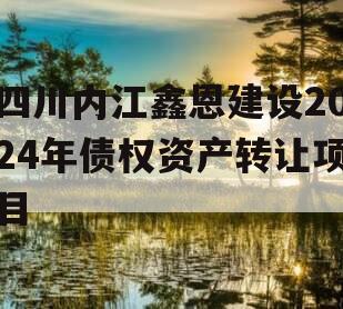 四川内江鑫恩建设2024年债权资产转让项目