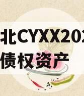 湖北CYXX2024年债权资产