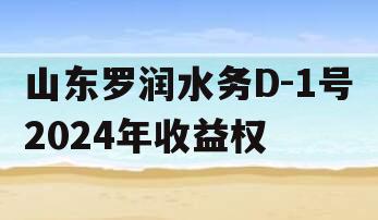 山东罗润水务D-1号2024年收益权