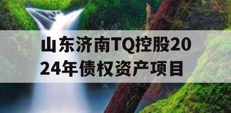 山东济南TQ控股2024年债权资产项目