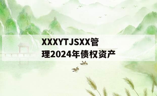 XXXYTJSXX管理2024年债权资产