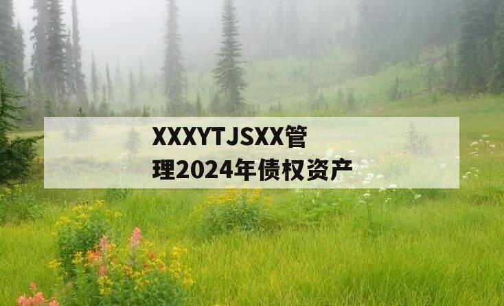 XXXYTJSXX管理2024年债权资产