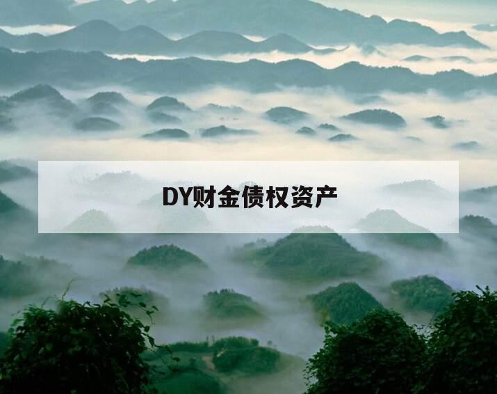 DY财金债权资产