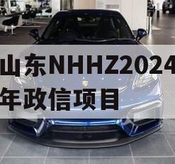 山东NHHZ2024年政信项目