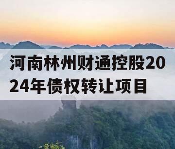 河南林州财通控股2024年债权转让项目