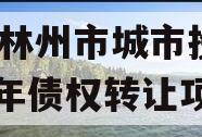 河南林州市城市投资2024年债权转让项目