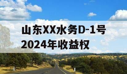 山东XX水务D-1号2024年收益权