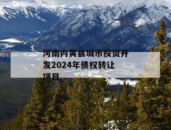 河南内黄县城市投资开发2024年债权转让项目