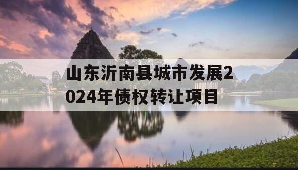 山东沂南县城市发展2024年债权转让项目