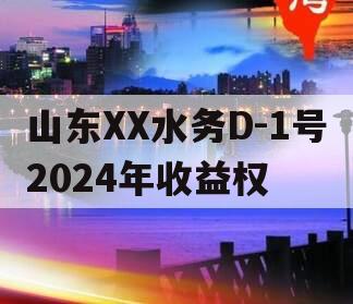 山东XX水务D-1号2024年收益权