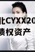 湖北CYXX2024年债权资产