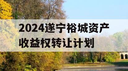 2024遂宁裕城资产收益权转让计划