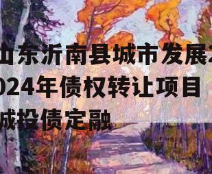 山东沂南县城市发展2024年债权转让项目城投债定融