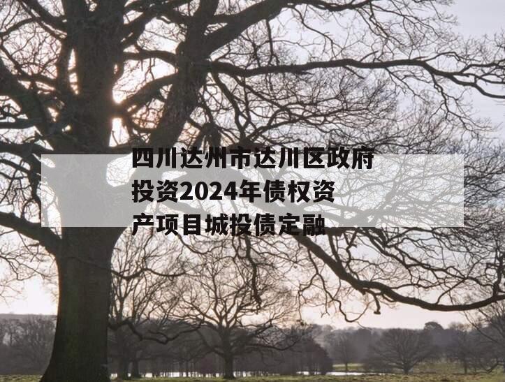 四川达州市达川区政府投资2024年债权资产项目城投债定融