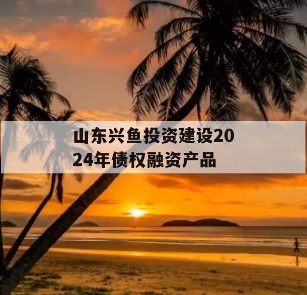 山东兴鱼投资建设2024年债权融资产品