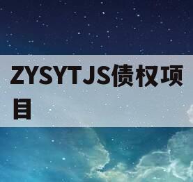 ZYSYTJS债权项目