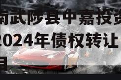 河南武陟县中嘉投资运营2024年债权转让项目