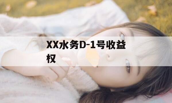 XX水务D-1号收益权