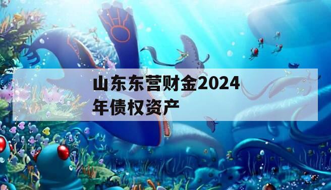 山东东营财金2024年债权资产