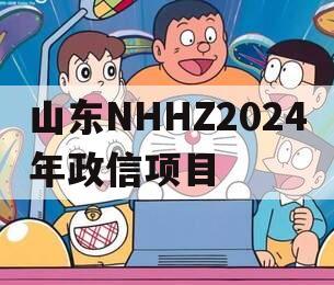 山东NHHZ2024年政信项目