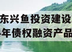 山东兴鱼投资建设2024年债权融资产品