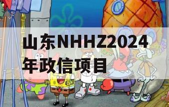 山东NHHZ2024年政信项目