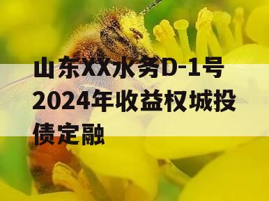 山东XX水务D-1号2024年收益权城投债定融