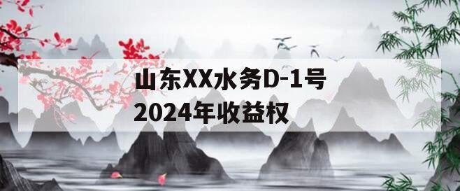 山东XX水务D-1号2024年收益权