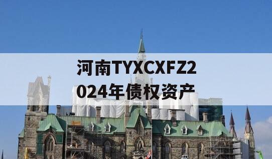 河南TYXCXFZ2024年债权资产