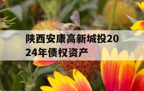 陕西安康高新城投2024年债权资产