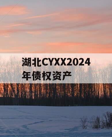 湖北CYXX2024年债权资产