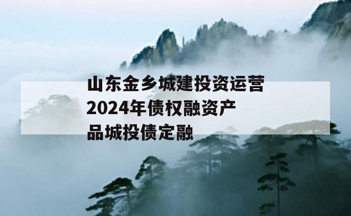 山东金乡城建投资运营2024年债权融资产品城投债定融