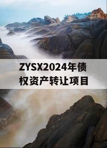 ZYSX2024年债权资产转让项目