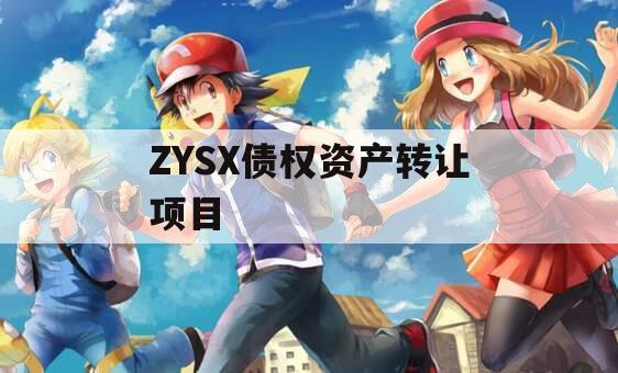 ZYSX债权资产转让项目