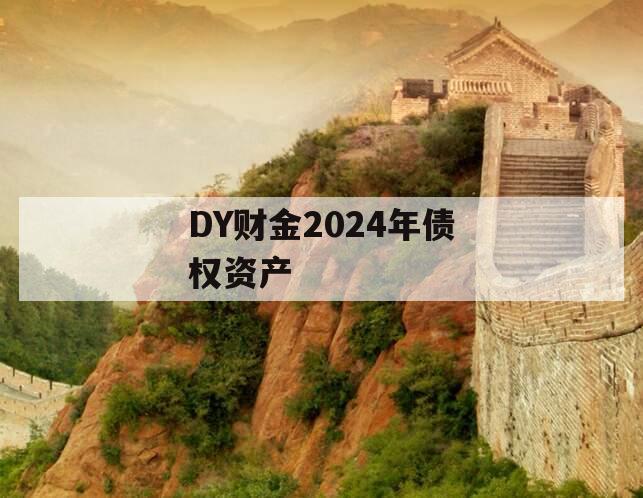 DY财金2024年债权资产