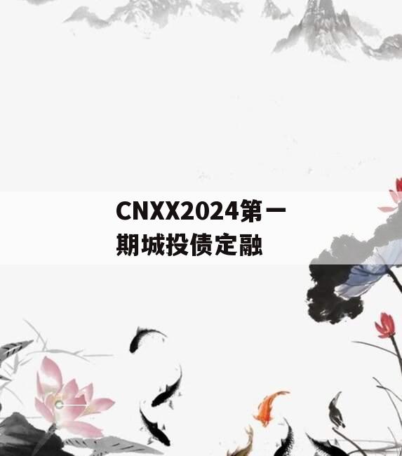 CNXX2024第一期城投债定融