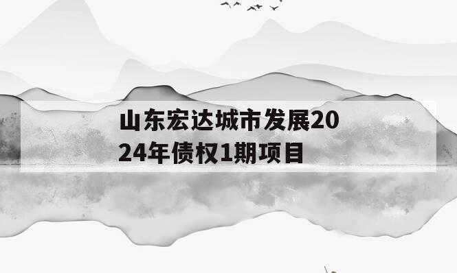 山东宏达城市发展2024年债权1期项目