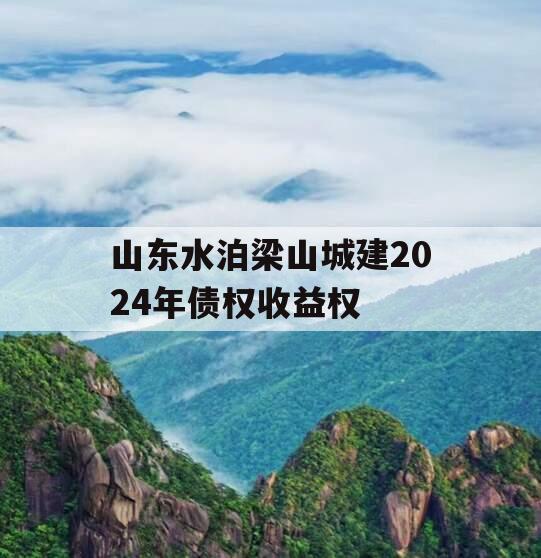 山东水泊梁山城建2024年债权收益权