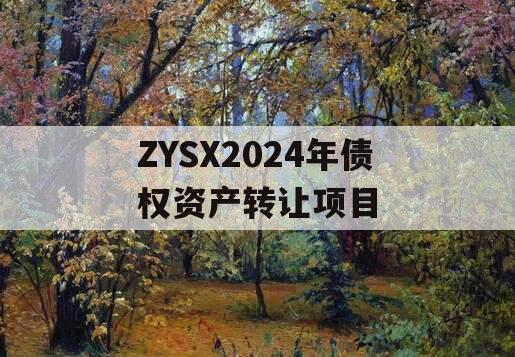 ZYSX2024年债权资产转让项目