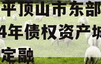 河南平顶山市东部城建2024年债权资产城投债定融