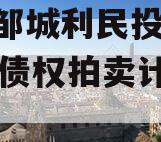 山东邹城利民投资2024年债权拍卖计划项目