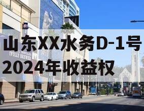 山东XX水务D-1号2024年收益权