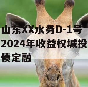 山东XX水务D-1号2024年收益权城投债定融