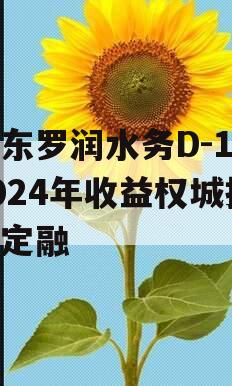 山东罗润水务D-1号2024年收益权城投债定融