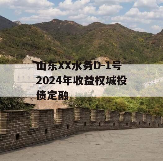 山东XX水务D-1号2024年收益权城投债定融