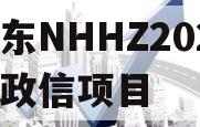 山东NHHZ2024年政信项目